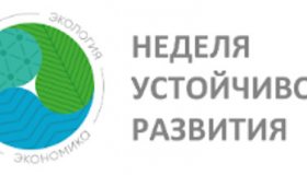 Public Talk "Построение ответственных цепочек поставок: инструмент повышения устойчивости российских компаний". Онлайн-трансляция 24 ноября 2020 года